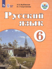 Русский язык. 6 класс